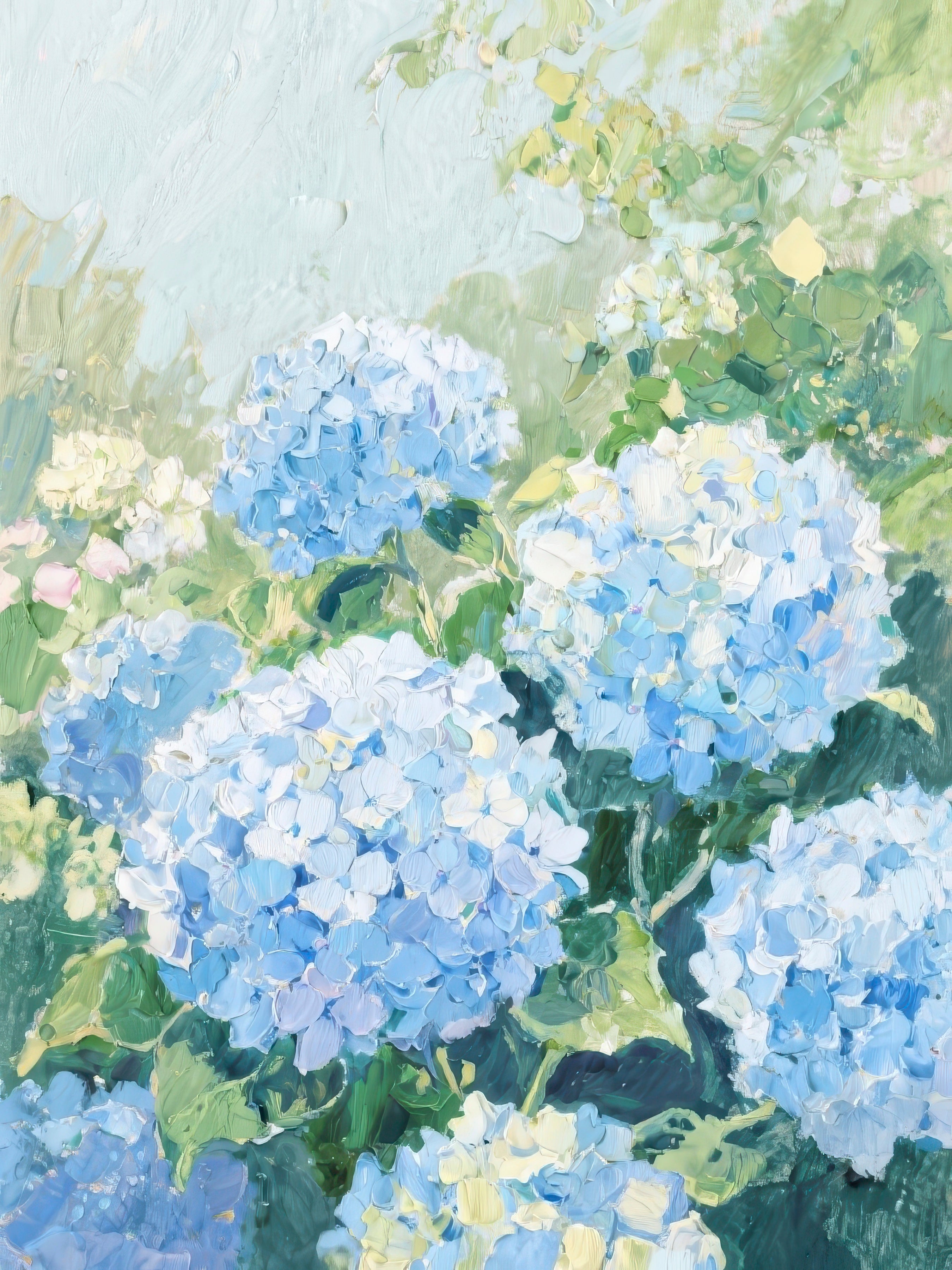 Blue Hydrangeas II