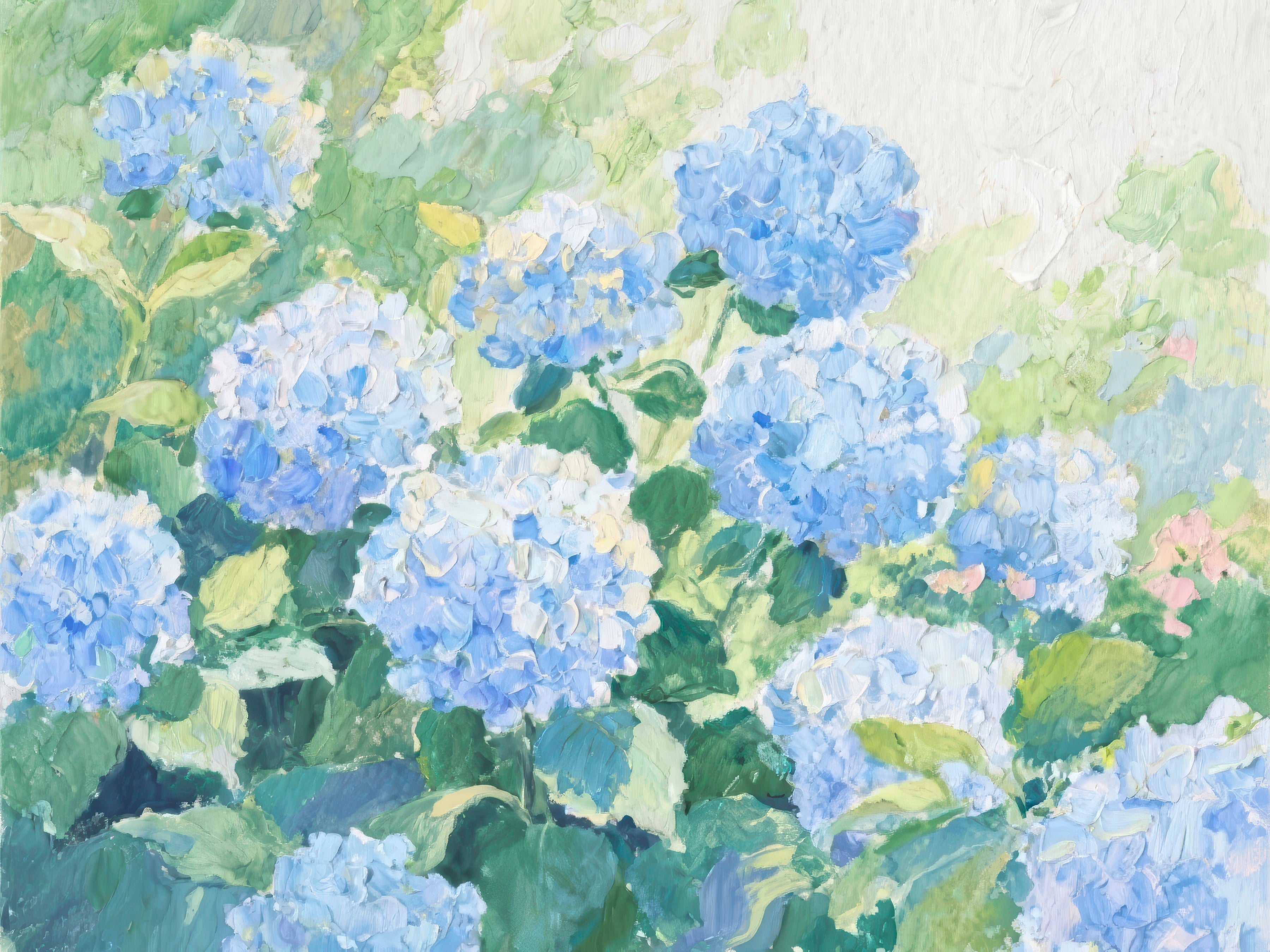 Summer Hydrangeas