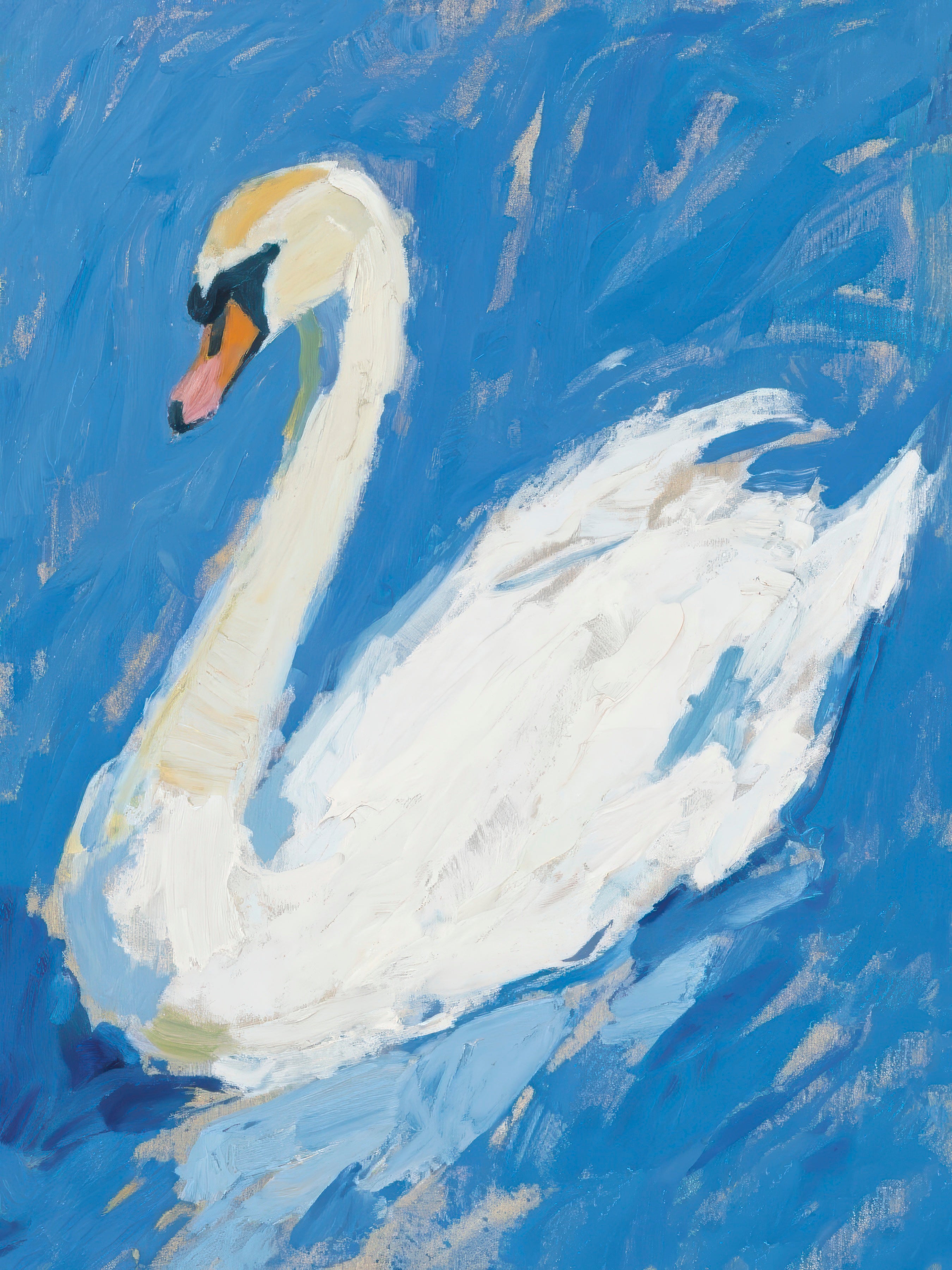 Swan, Blue Background