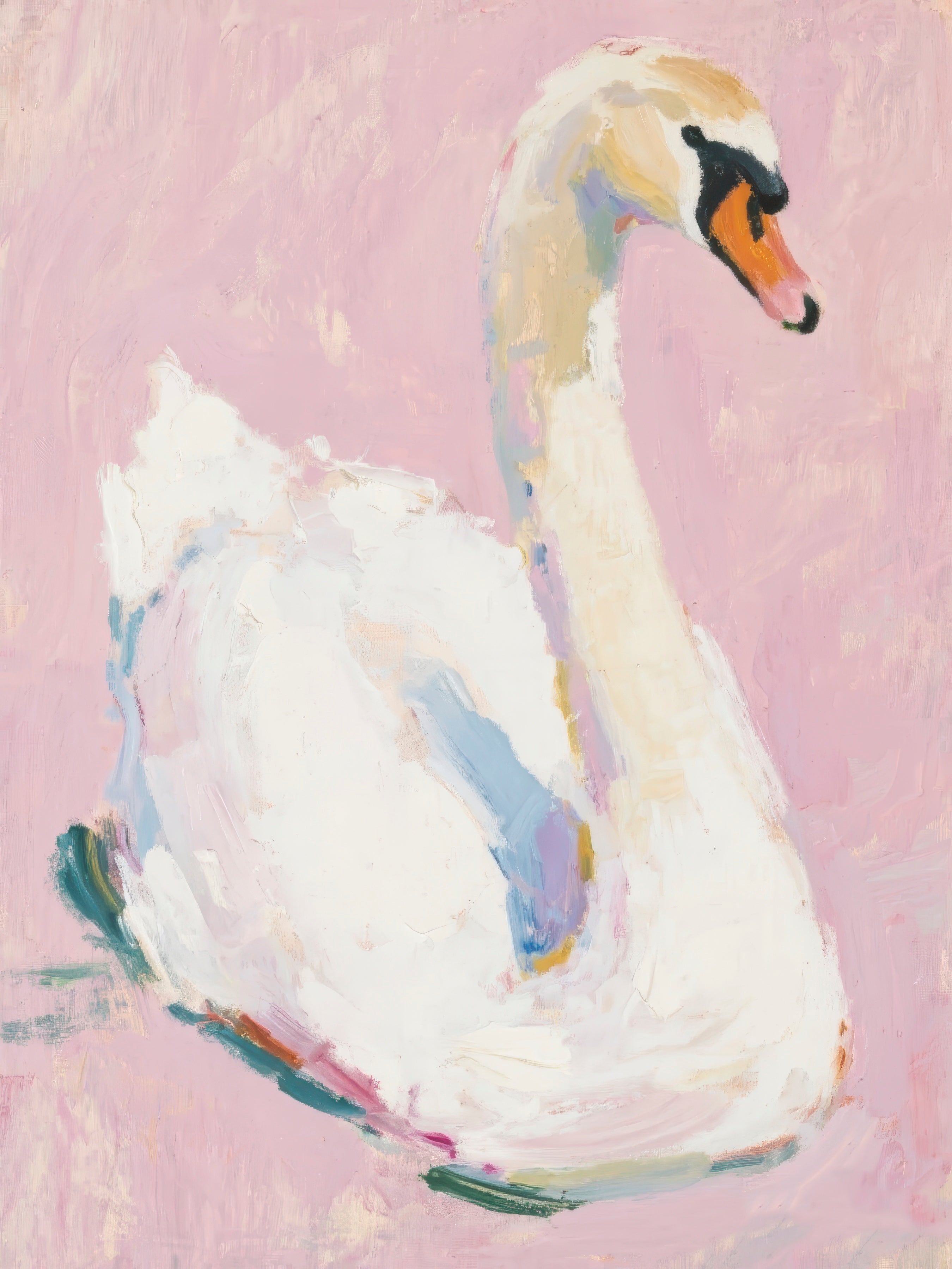 Swan, Pink Background